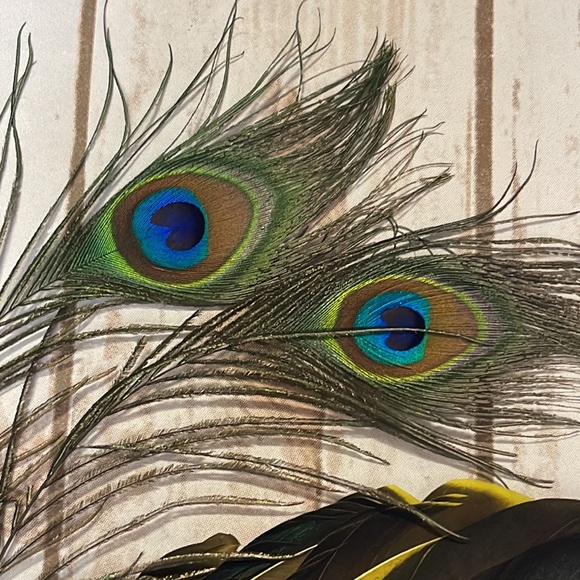 Mardi Gras Feather Peacock Sequins Embellished Mask - Picture 5 of 10